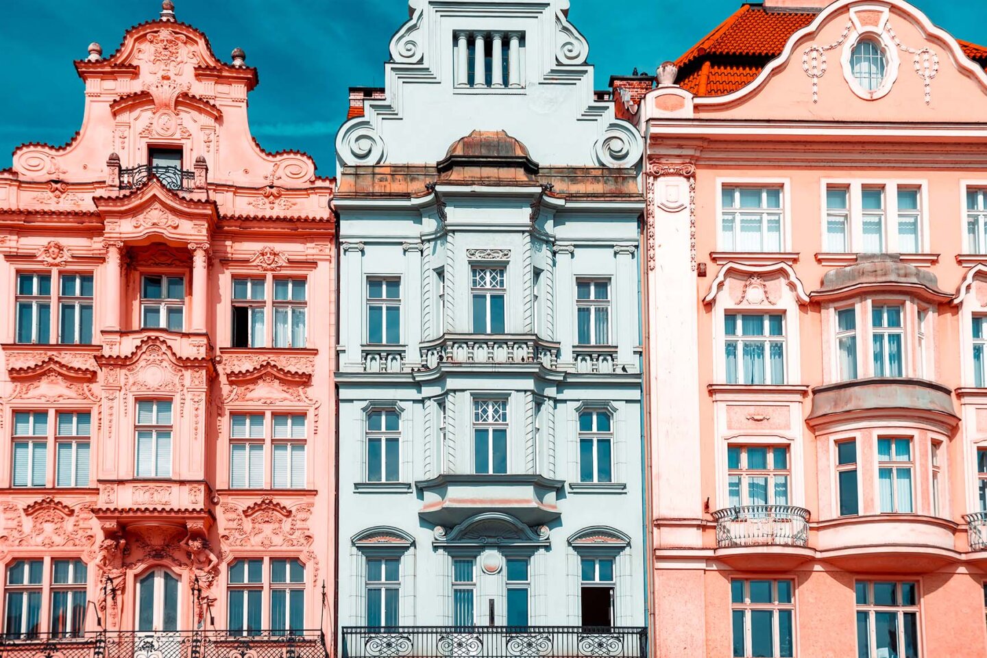 Studying medicine in the Czech Republic