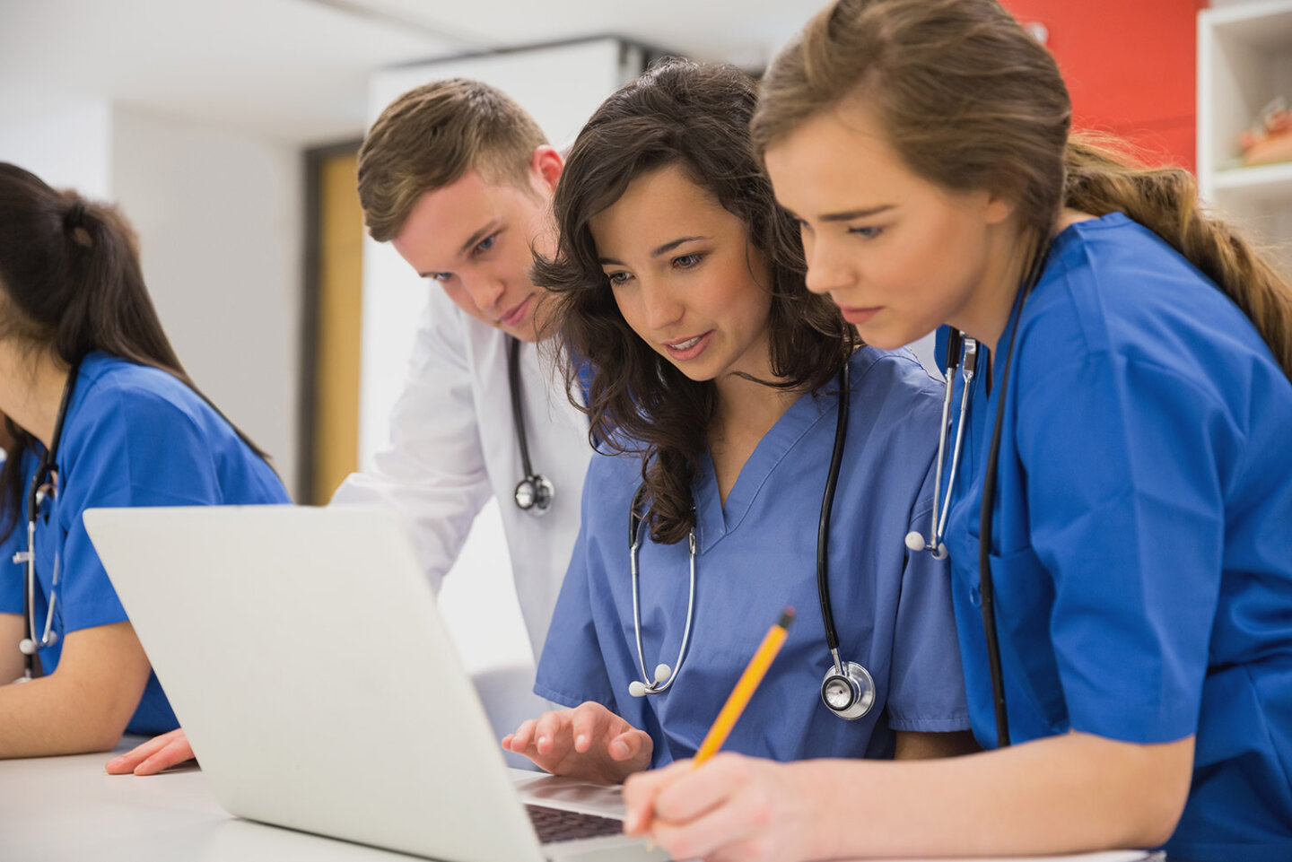 HamNat structure: Everything you need to know about the HamNat!