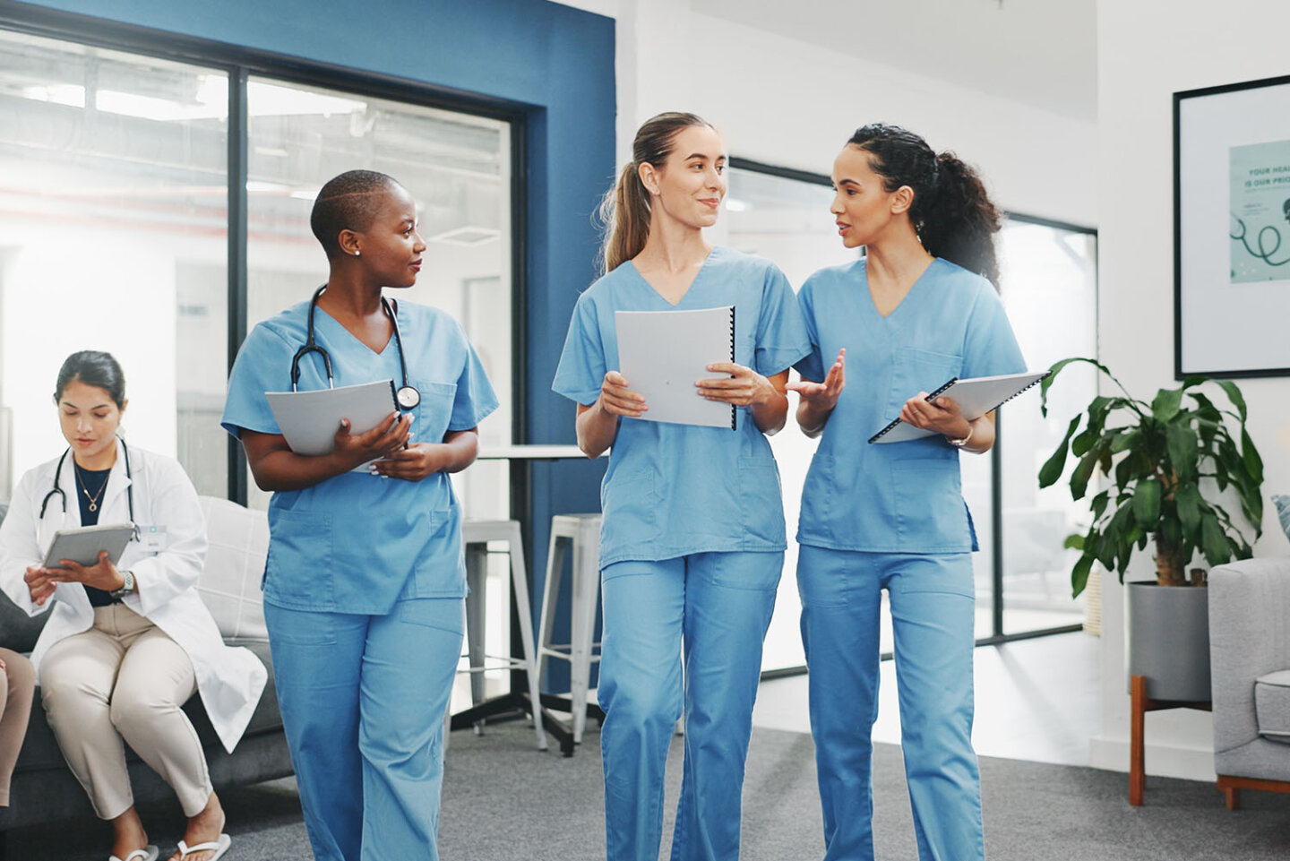 Studying medicine in Germany - Where can you study in the summer and winter semesters?