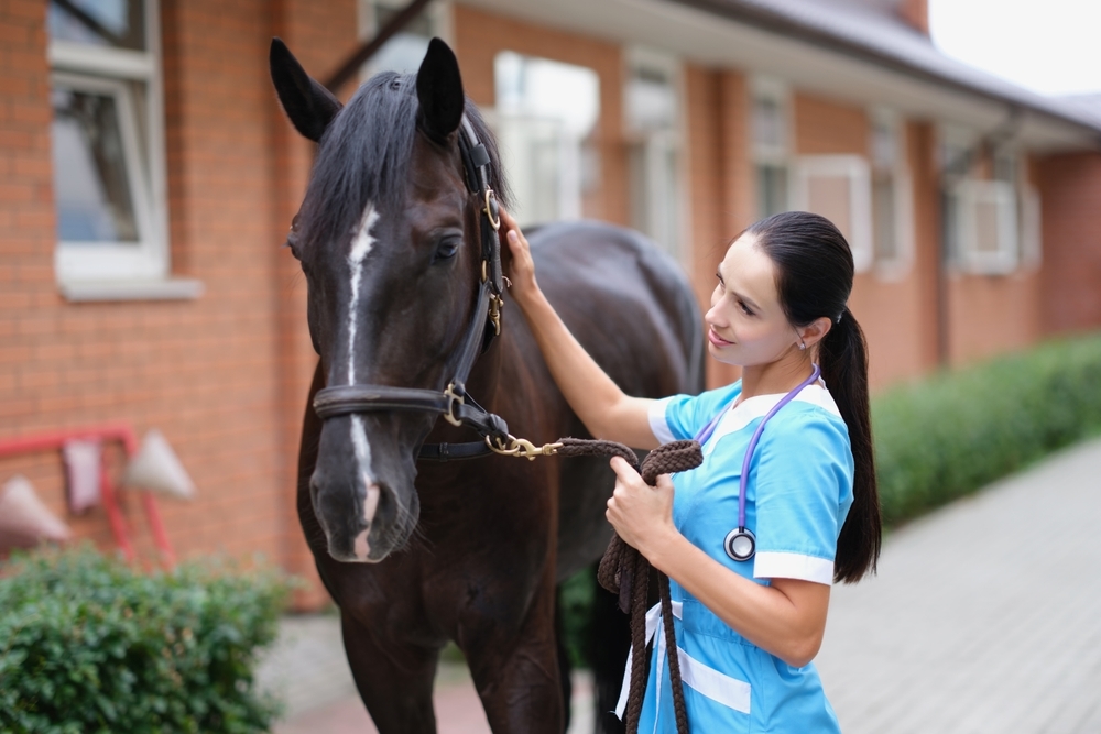Veterinary Medicine NC
