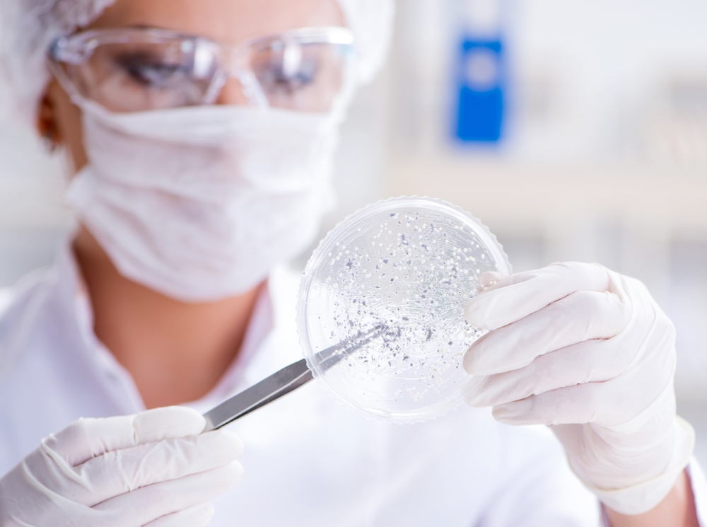 What does an infectologist do?