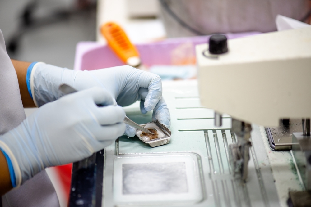 Pathologist salary: What does a pathologist earn in Germany?